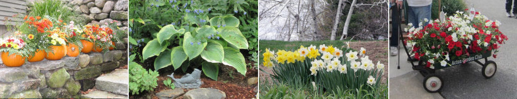 Art In Bloom The Acton Garden Club