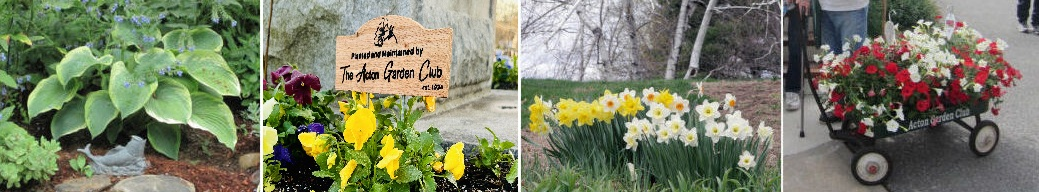 The Acton Garden Club